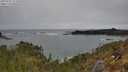 ./images/calvert/foggy-cove/20250509/foggy-cove20250509_111010M.jpg