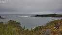 ./images/calvert/foggy-cove/20250509/foggy-cove20250509_112010M.jpg