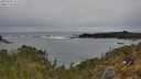 ./images/calvert/foggy-cove/20250509/foggy-cove20250509_112509M.jpg