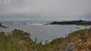 ./images/calvert/foggy-cove/20250509/foggy-cove20250509_113009M.jpg