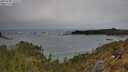 ./images/calvert/foggy-cove/20250509/foggy-cove20250509_125508M.jpg