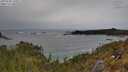 ./images/calvert/foggy-cove/20250509/foggy-cove20250509_130011M.jpg