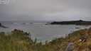 ./images/calvert/foggy-cove/20250509/foggy-cove20250509_130509M.jpg