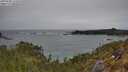 ./images/calvert/foggy-cove/20250509/foggy-cove20250509_132010M.jpg
