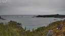 ./images/calvert/foggy-cove/20250509/foggy-cove20250509_132508M.jpg