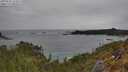 ./images/calvert/foggy-cove/20250509/foggy-cove20250509_133011M.jpg