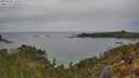 ./images/calvert/foggy-cove/20250509/foggy-cove20250509_135009M.jpg