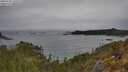 ./images/calvert/foggy-cove/20250509/foggy-cove20250509_140508M.jpg