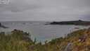 ./images/calvert/foggy-cove/20250509/foggy-cove20250509_141010M.jpg