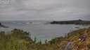 ./images/calvert/foggy-cove/20250509/foggy-cove20250509_141508M.jpg