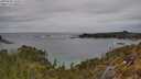 ./images/calvert/foggy-cove/20250509/foggy-cove20250509_142509M.jpg