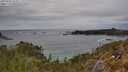 ./images/calvert/foggy-cove/20250509/foggy-cove20250509_143010M.jpg