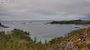 ./images/calvert/foggy-cove/20250509/foggy-cove20250509_144008M.jpg