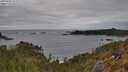 ./images/calvert/foggy-cove/20250509/foggy-cove20250509_152509M.jpg