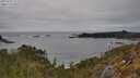 ./images/calvert/foggy-cove/20250509/foggy-cove20250509_153508M.jpg