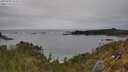./images/calvert/foggy-cove/20250509/foggy-cove20250509_154509M.jpg