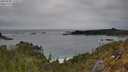 ./images/calvert/foggy-cove/20250509/foggy-cove20250509_155509M.jpg