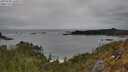 ./images/calvert/foggy-cove/20250509/foggy-cove20250509_160009M.jpg