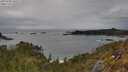 ./images/calvert/foggy-cove/20250509/foggy-cove20250509_160509M.jpg