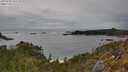 ./images/calvert/foggy-cove/20250509/foggy-cove20250509_161510M.jpg
