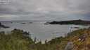 ./images/calvert/foggy-cove/20250509/foggy-cove20250509_162509M.jpg