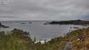 ./images/calvert/foggy-cove/20250509/foggy-cove20250509_163510M.jpg