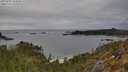 ./images/calvert/foggy-cove/20250509/foggy-cove20250509_164010M.jpg