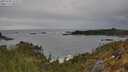 ./images/calvert/foggy-cove/20250509/foggy-cove20250509_164510M.jpg