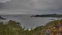 ./images/calvert/foggy-cove/20250509/foggy-cove20250509_165509M.jpg