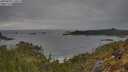 ./images/calvert/foggy-cove/20250509/foggy-cove20250509_170009M.jpg