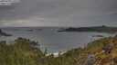 ./images/calvert/foggy-cove/20250509/foggy-cove20250509_170509M.jpg