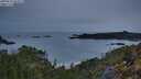 ./images/calvert/foggy-cove/20250510/foggy-cove20250510_054009M.jpg