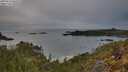 ./images/calvert/foggy-cove/20250510/foggy-cove20250510_065508M.jpg