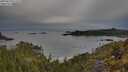 ./images/calvert/foggy-cove/20250510/foggy-cove20250510_073510M.jpg