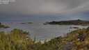 ./images/calvert/foggy-cove/20250510/foggy-cove20250510_080509M.jpg