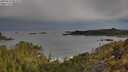 ./images/calvert/foggy-cove/20250510/foggy-cove20250510_081010M.jpg