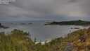 ./images/calvert/foggy-cove/20250510/foggy-cove20250510_084009M.jpg