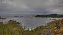 ./images/calvert/foggy-cove/20250510/foggy-cove20250510_085010M.jpg