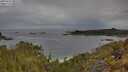 ./images/calvert/foggy-cove/20250510/foggy-cove20250510_085510M.jpg