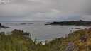 ./images/calvert/foggy-cove/20250510/foggy-cove20250510_091508M.jpg