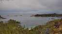 ./images/calvert/foggy-cove/20250510/foggy-cove20250510_093009M.jpg