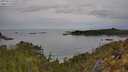 ./images/calvert/foggy-cove/20250510/foggy-cove20250510_095009M.jpg