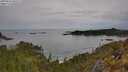 ./images/calvert/foggy-cove/20250510/foggy-cove20250510_095509M.jpg