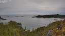 ./images/calvert/foggy-cove/20250510/foggy-cove20250510_100011M.jpg