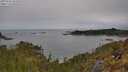 ./images/calvert/foggy-cove/20250510/foggy-cove20250510_101010M.jpg