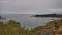 ./images/calvert/foggy-cove/20250510/foggy-cove20250510_101509M.jpg