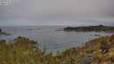 ./images/calvert/foggy-cove/20250510/foggy-cove20250510_102009M.jpg