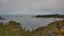 ./images/calvert/foggy-cove/20250510/foggy-cove20250510_103509M.jpg