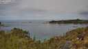 ./images/calvert/foggy-cove/20250510/foggy-cove20250510_114010M.jpg