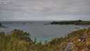 ./images/calvert/foggy-cove/20250510/foggy-cove20250510_142010M.jpg